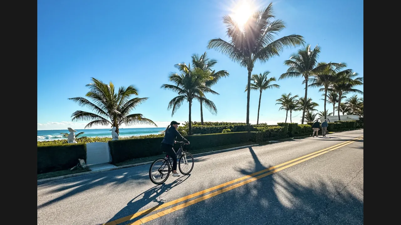 A cyclist riding along a coastal road lined with palm trees beside the sea
